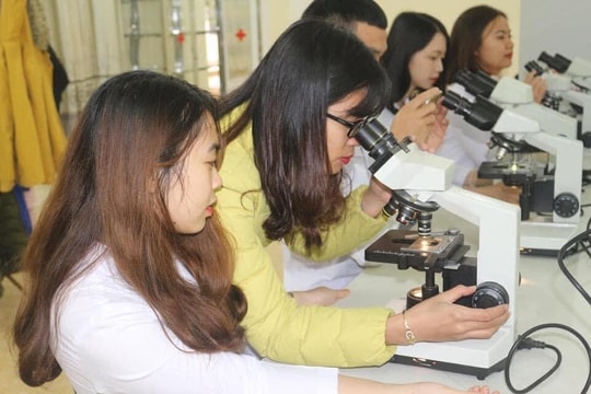 Sẽ sáp nhập 1 trường đại học và 2 trường cao đẳng thành Trường Đại học Nghệ An