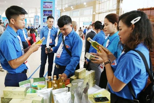 Chính phủ ban hành Chương trình 'Hỗ trợ thanh niên khởi nghiệp' giai đoạn 2022-2030