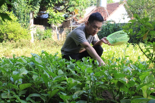 Thủ khoa phố núi mồ côi bố, thiếu hơi ấm của mẹ với ước mơ trở thành lập trình viên