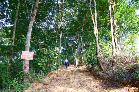 Thuộc quyền lợi của bà con, thì phải trả lại cho bà con