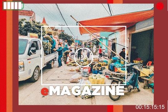 Xử lý vi phạm hành lang an toàn giao thông ở Nghệ An: Cần giải pháp căn cơ, quyết liệt!