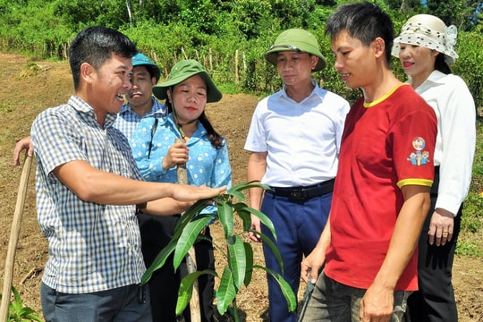 Hỗ trợ 400 giống cây ăn quả tại xã Xiêng My (Tương Dương)