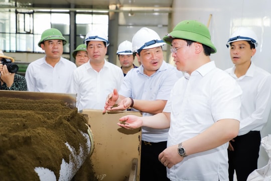 Chủ tịch UBND tỉnh Nguyễn Đức Trung kiểm tra các cơ sở sản xuất, kinh doanh tại huyện Anh Sơn