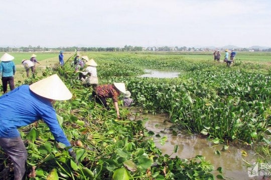 Cử tri kiến nghị nạo vét kênh tiêu Diễn - Yên 2 để đảm bảo việc tiêu úng