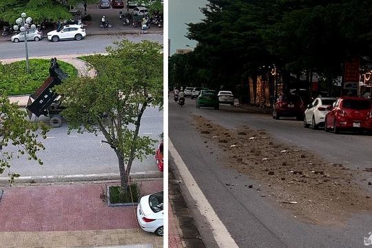 TP.Vinh: Xử phạt tài xế làm đổ vật liệu xây dựng dưới lòng đường