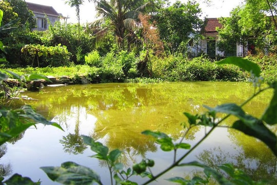 Một phụ nữ đuối nước thương tâm dưới ao nhà