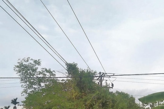 Chặt cần câu gần đường dây điện, nam sinh lớp 10 bị điện giật tử vong