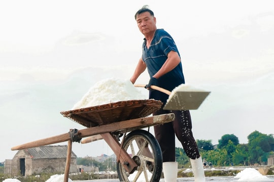 Một ngày về đồng muối