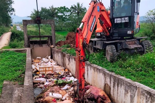 Xử lý, ngăn chặn triệt để vi phạm xâm lấn kênh thuỷ lợi