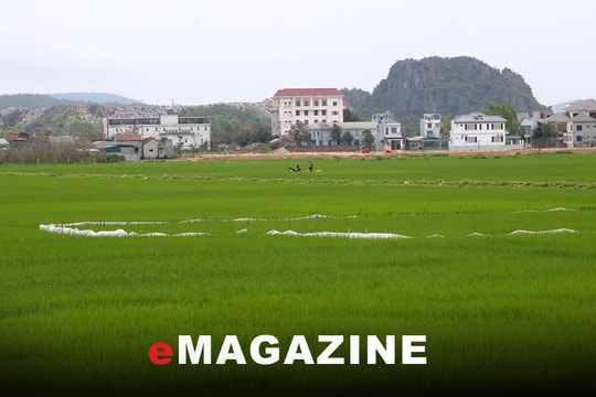 Được gia hạn 24 tháng, Vicem Hoàng Mai có hoàn thành dự án đô thị ?