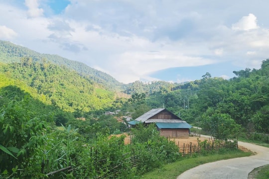 Giữ yên vùng biên Tam Hợp