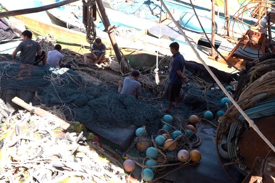 Tìm giải pháp gỡ khó cho 'tàu 67'