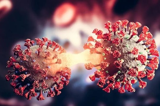 Việt Nam ghi nhận biến thể phụ đầu tiên BA.2.74 của Omicron