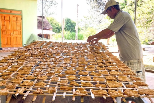 Kiếm tiền triệu mỗi ngày từ thu hái 'lộc rừng' 