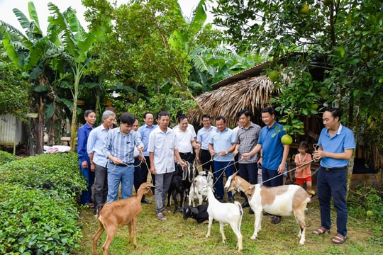 Hội Nông dân tỉnh thực hiện các mô hình sản xuất, thay đổi nhận thức cho người dân