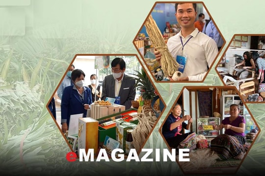 Sống chung với biến đổi khí hậu - Bài 4: ‘Biến’ sợi chuối, dứa phế thải thành hàng xuất khẩu