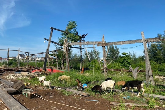 Ảm đạm các làng nghề đóng tàu thuyền ở Nghệ An