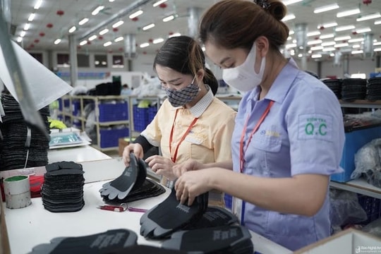 Năng suất lao động ở Nghệ An chỉ bằng 64,28% bình quân cả nước