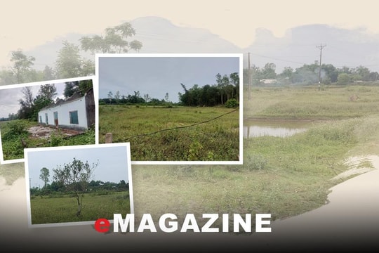 Dự án Vườn cam Nghi Ân sẽ được xử lý như thế nào?