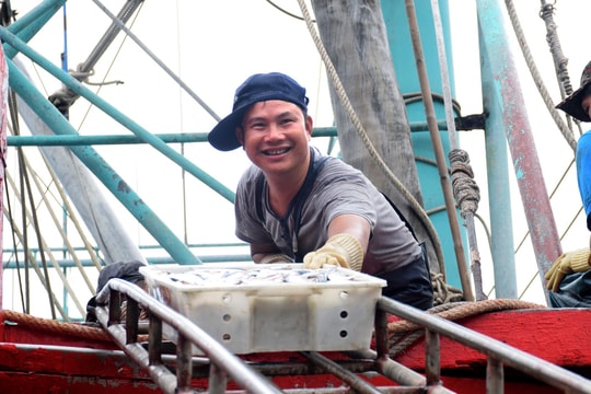 Về tránh bão số 3, nhiều tàu cá Nghệ An đạt sản lượng cao