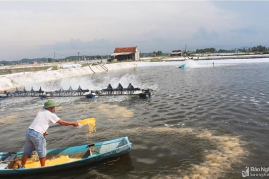 Phát triển các mô hình ứng dụng chuyển đổi số trong nuôi trồng thủy sản