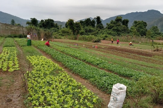 Bí thư bản đi đầu phong trào xóa bỏ thói trông chờ, ỷ lại 