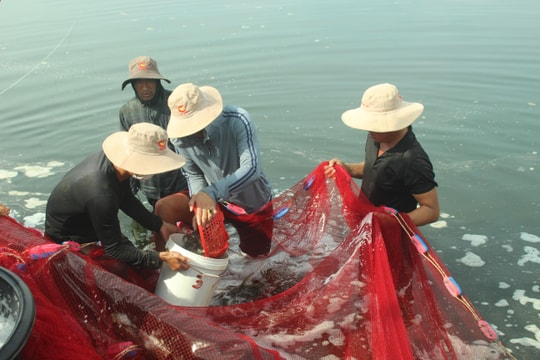 THỰC HIỆN NGHỊ QUYẾT SỐ 18/2021/NQ-HĐND