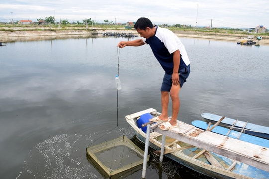Ứng dụng công nghệ, chuyển đổi số trong nuôi tôm