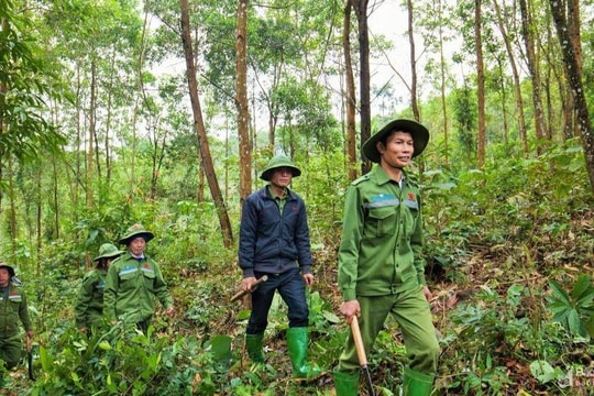 Bộ Nông nghiệp và Phát triển nông thôn trả lời kiến nghị cử tri Nghệ An về đề xuất nâng mức hỗ trợ tiền khoán bảo vệ rừng