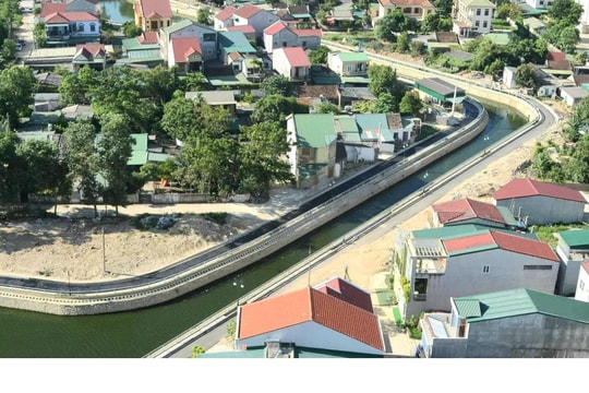 Thành phố Vinh thí điểm trồng cây thủy sinh tạo cảnh quan, xử lý ô nhiễm vùng hào Thành cổ