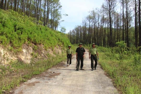 Nghệ An tăng cường công tác quản lý bảo vệ rừng 