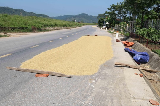 Ngăn đường làm sân phơi lúa: Chuyện 'khổ lắm... nói mãi'! 