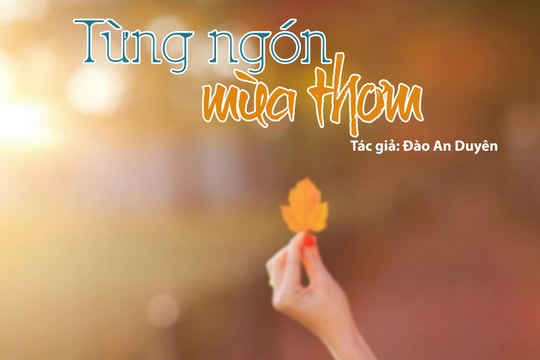 Tản văn hay: Từng ngón mùa thơm