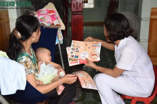 Dịch sốt xuất huyết ở Diễn Châu, Quỳnh Lưu và thị xã Hoàng Mai có nhiều nguy cơ lây nhanh