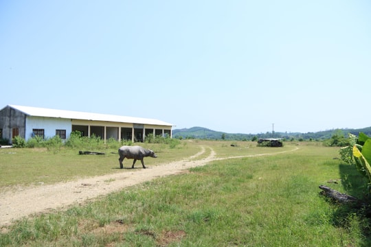 Cận cảnh dự án chợ đầu mối biên giới và khu sinh thái bỏ hoang ở Thanh Chương