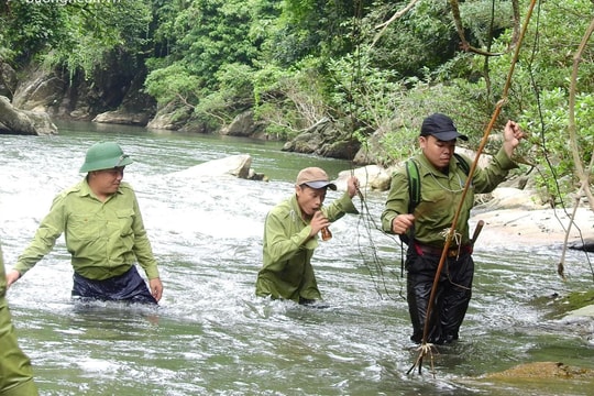 Bộ Nông nghiệp và Phát triển nông thôn trả lời kiến nghị cử tri Nghệ An về chính sách đối với lực lượng chuyên trách bảo vệ rừng