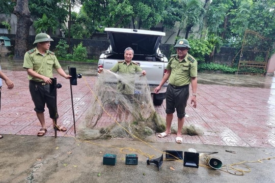 Truy quét nạn săn bắt, bẫy chim trời ở Diễn Châu 