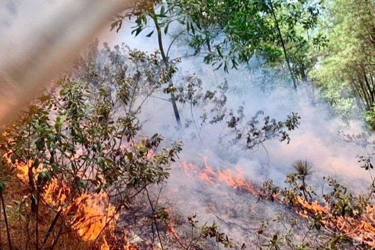 Kịp thời dập tắt cháy rừng tại xã Quang Sơn (Đô Lương)