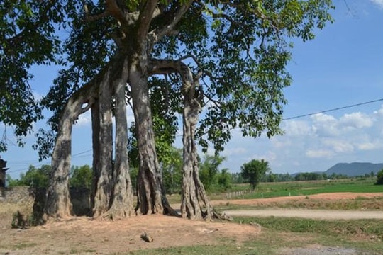 Huyền thoại đa làng 