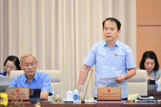 Dù kiên quyết xử lý nhưng tội phạm tham nhũng vẫn gia tăng, vì sao?