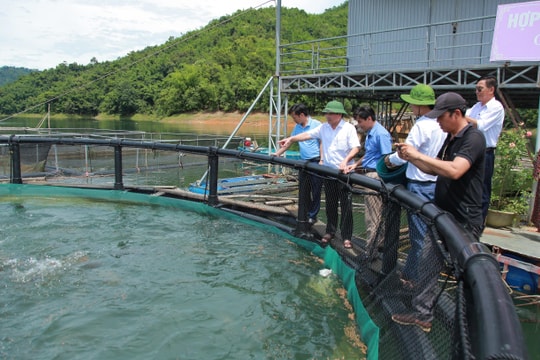Lãnh đạo Ban Dân vận Tỉnh ủy thăm và tặng quà mô hình 'Dân vận khéo' tại Quế Phong