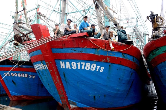 Nghệ An thiếu hụt lao động nghề biển