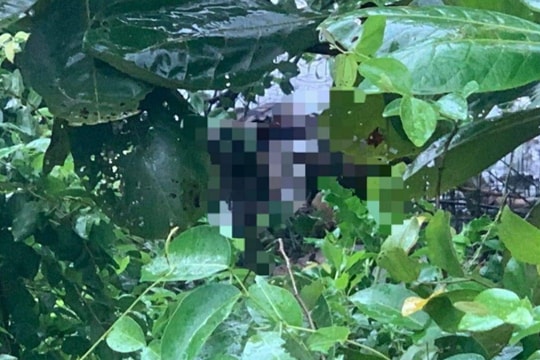 Tìm thấy thi thể nữ sinh ở thành phố Vinh sau hơn 4 ngày mất tích