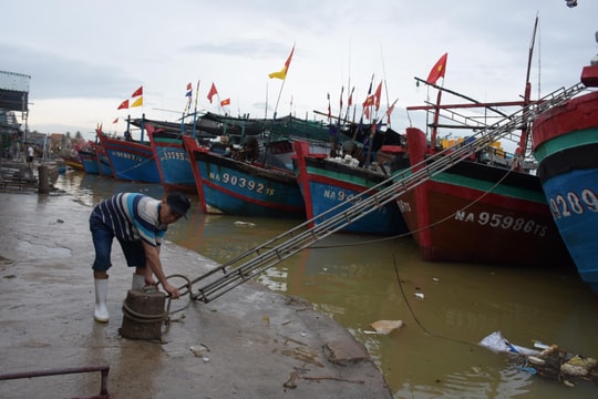 Nghệ An chỉ đạo khẩn trương thu hoạch cây trồng, kêu gọi tàu thuyền vào bờ tránh bão Noru