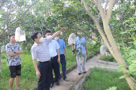 Xây dựng nhiều mô hình thực tiễn thu hút, tập hợp đoàn viên, hội viên