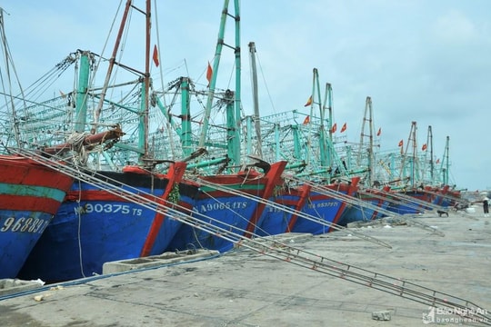 Nghệ An cấm biển từ 17h chiều 26/9 để ứng phó với bão Noru