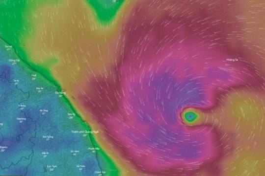 Chính phủ quyết định thành lập Ban chỉ đạo tiền phương để ứng phó bão số 4