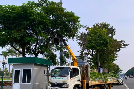 TP. Vinh: Nhiều phường, xã kiến nghị chặt tỉa cây xanh phòng bão Noru