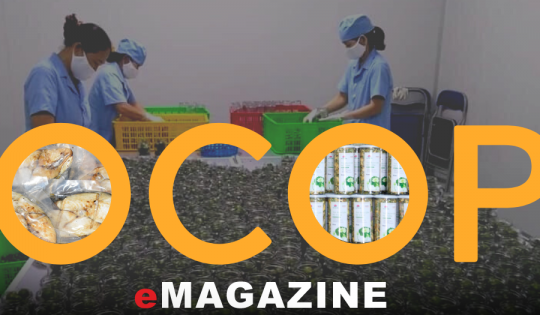 Để sản phẩm OCOP ‘chắp cánh’ cho du lịch – Bài 2: Chưa tạo “chỗ đứng” trên thị trường