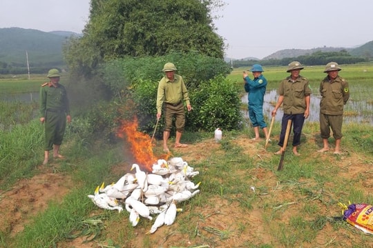 Nghệ An: Quyết liệt truy quét nạn săn bắt chim trời